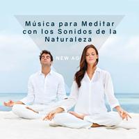 Musica para Meditar con Sonidos de la Naturaleza