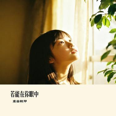 若能在你眼中 (Cover 刘宇宁)封面