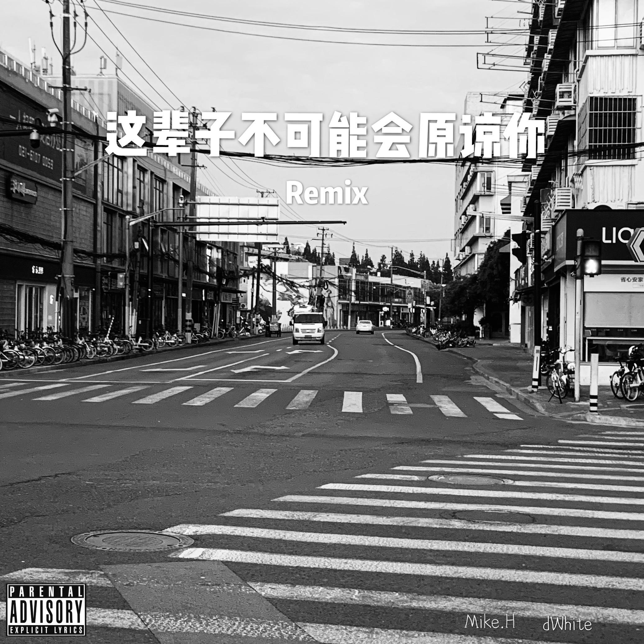 dWhite-这辈子不可能会原谅你remix（Mike.H / dWhite remix）