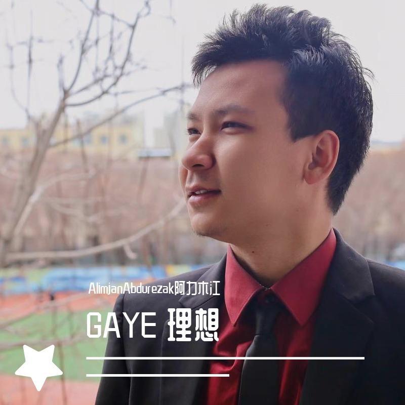 GAYE 理想