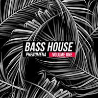 Bass House Phenomena, Vol. 1