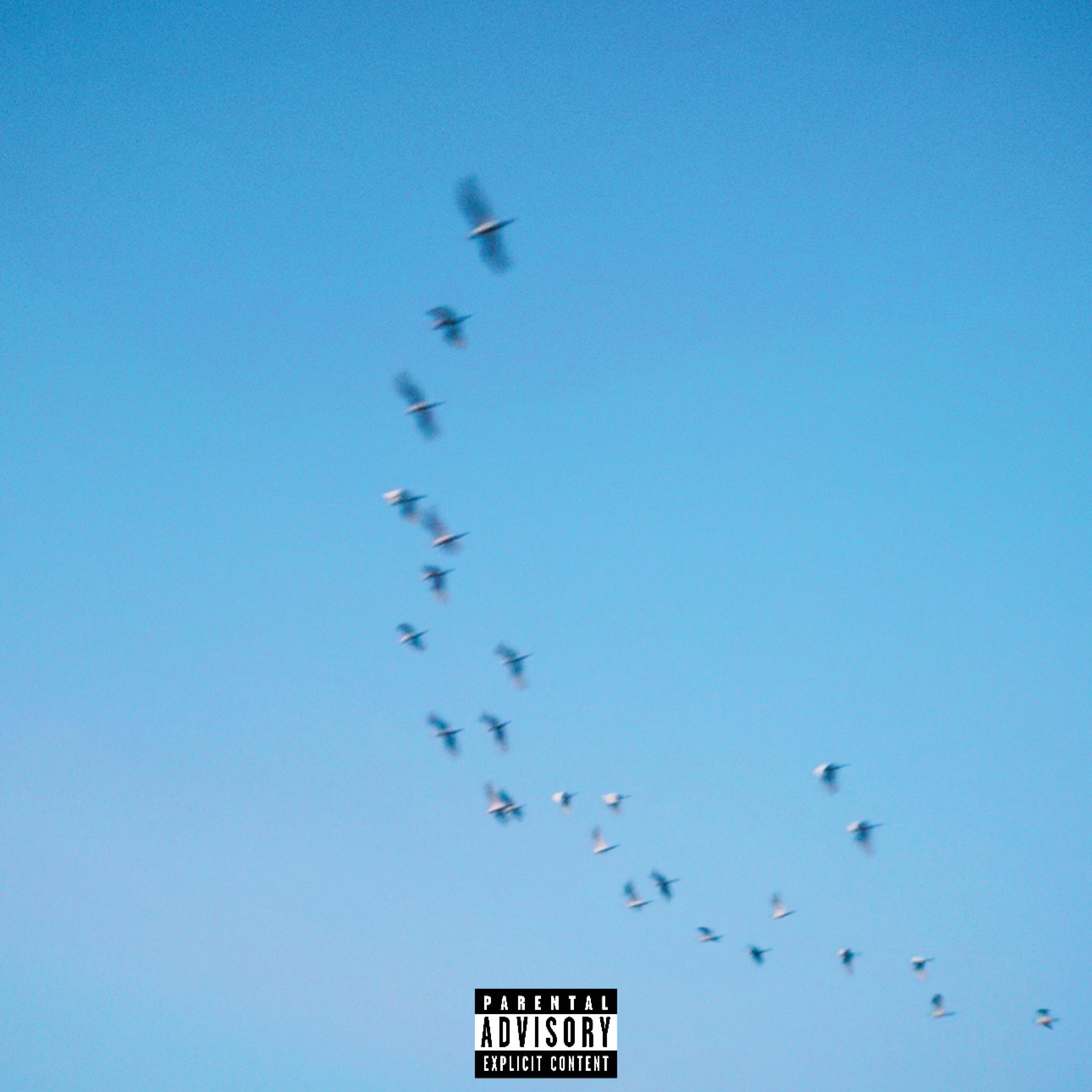 LOVE/LONE (feat. Anton Lodus)