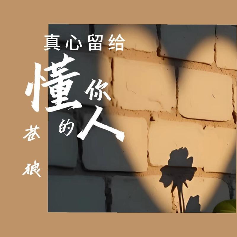 真心留给懂你的人 - 苍狼封面
