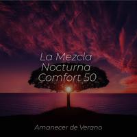 La Mezcla Nocturna Comfort 50