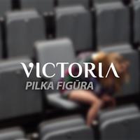 Pilka Figūra