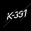 K-391