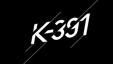 K-391