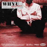 WHY U (feat. W2, Pryce Bully & Kenni Cole)