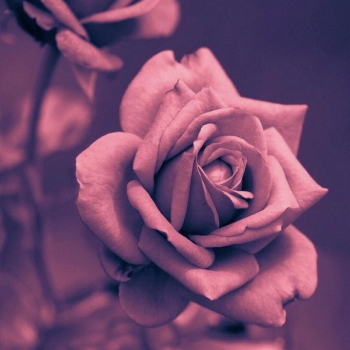 【Free beat】“浪漫告白” R&B X Sweet type beat