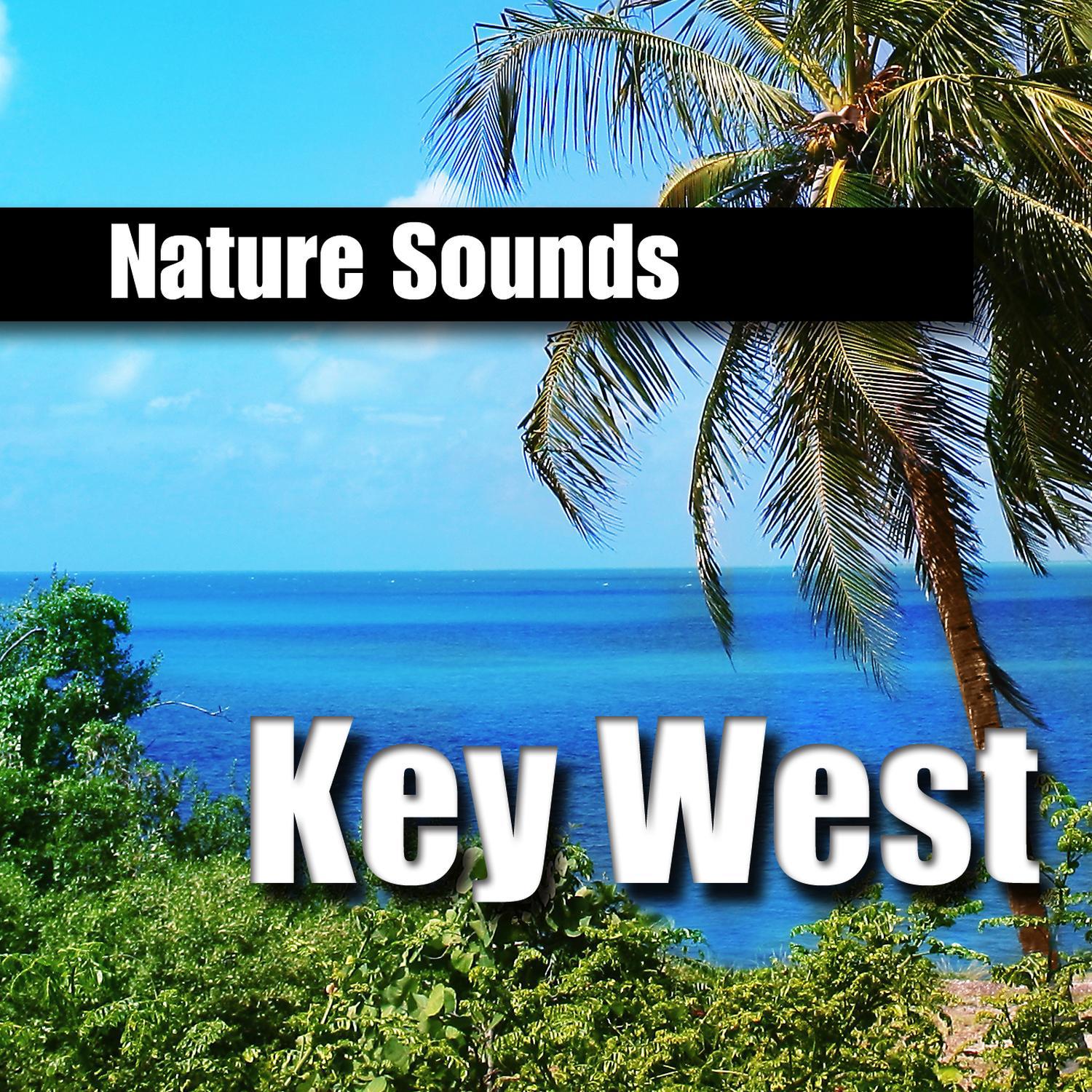  Discover the Best Attractions Near Key West: A Complete Guide to Unforgettable Experiences