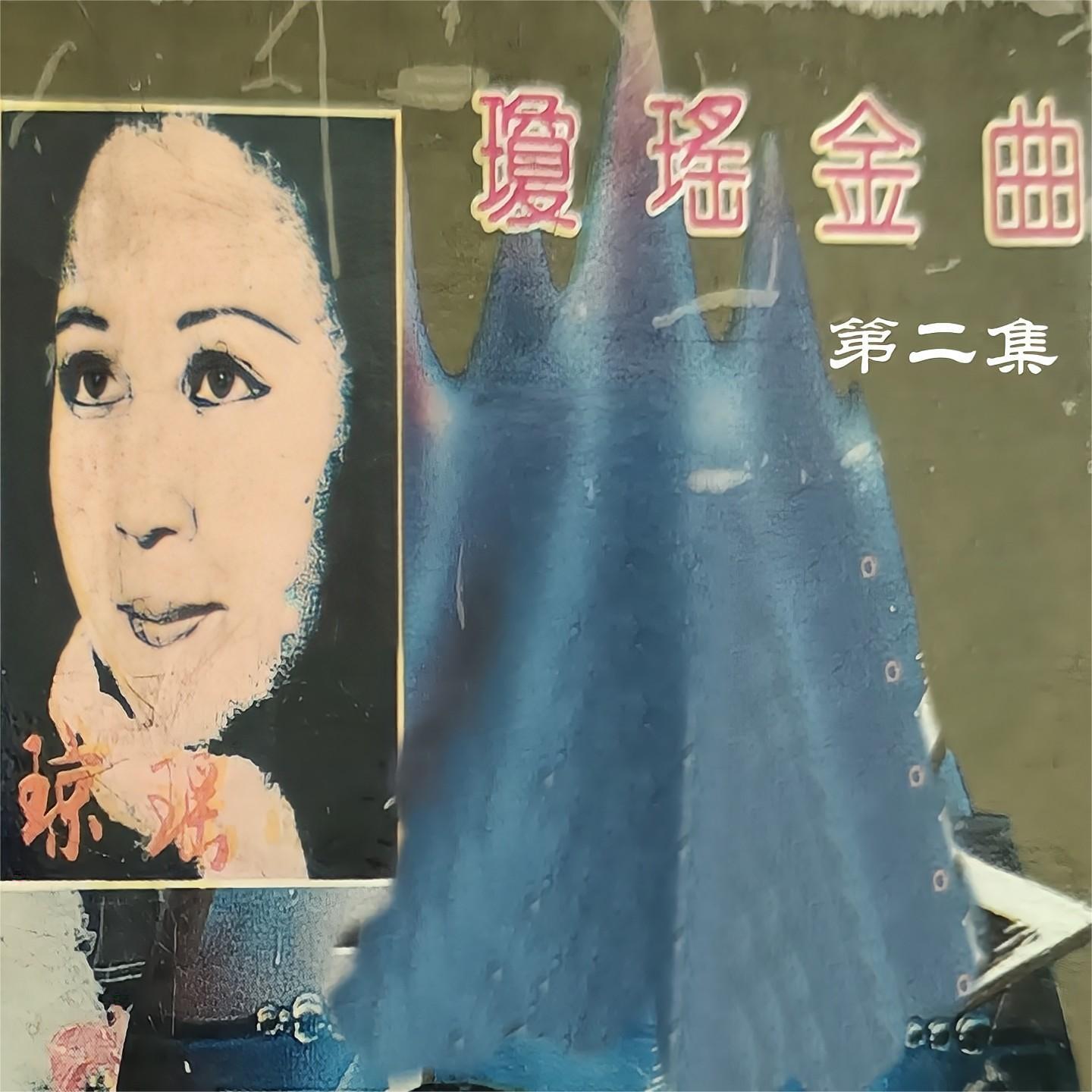 彩云伴海鸥封面