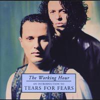 The Working Hour - An Introduction To Tears For Fears