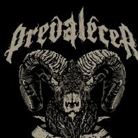 Prevalecer