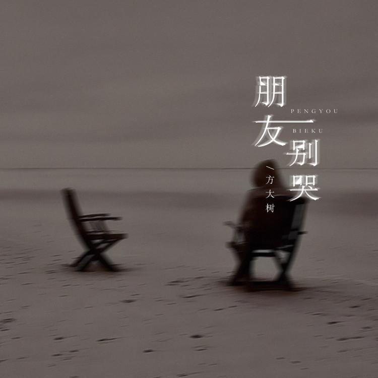 朋友别哭（有没有一扇窗能让你不绝望）封面