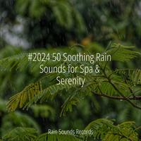 #2024 50 Soothing Rain Sounds for Spa & Serenity