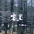 雾里 (DJ版)封面