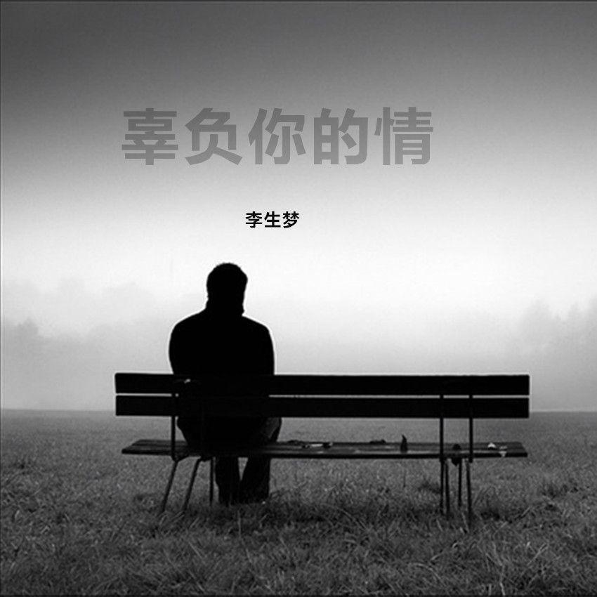 辜负你的情 - 李生梦封面