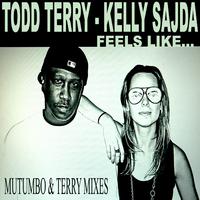 Feels Like - Mutumbo & Terry Mixes