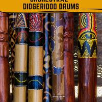 George Joyful Didgeridoo Music