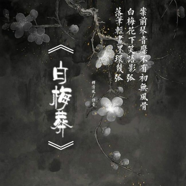 白梅葬_富世君_白梅葬 | 在线播放_白梅葬歌词_白梅葬下载 | 网易云音乐