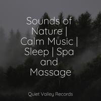 Sounds of Nature | Calm Music | Sleep | Spa and Massage