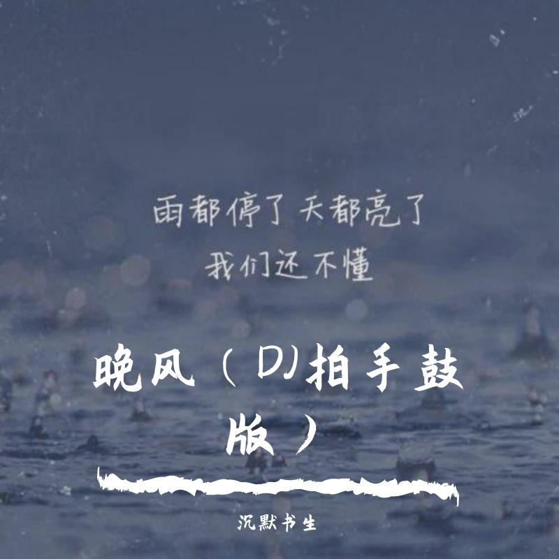 晚风(DJ版)封面