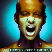 Electro House Elementz, 1