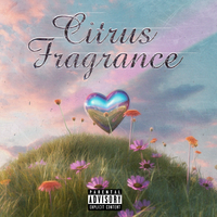 Citrus Fragrance（正式版）