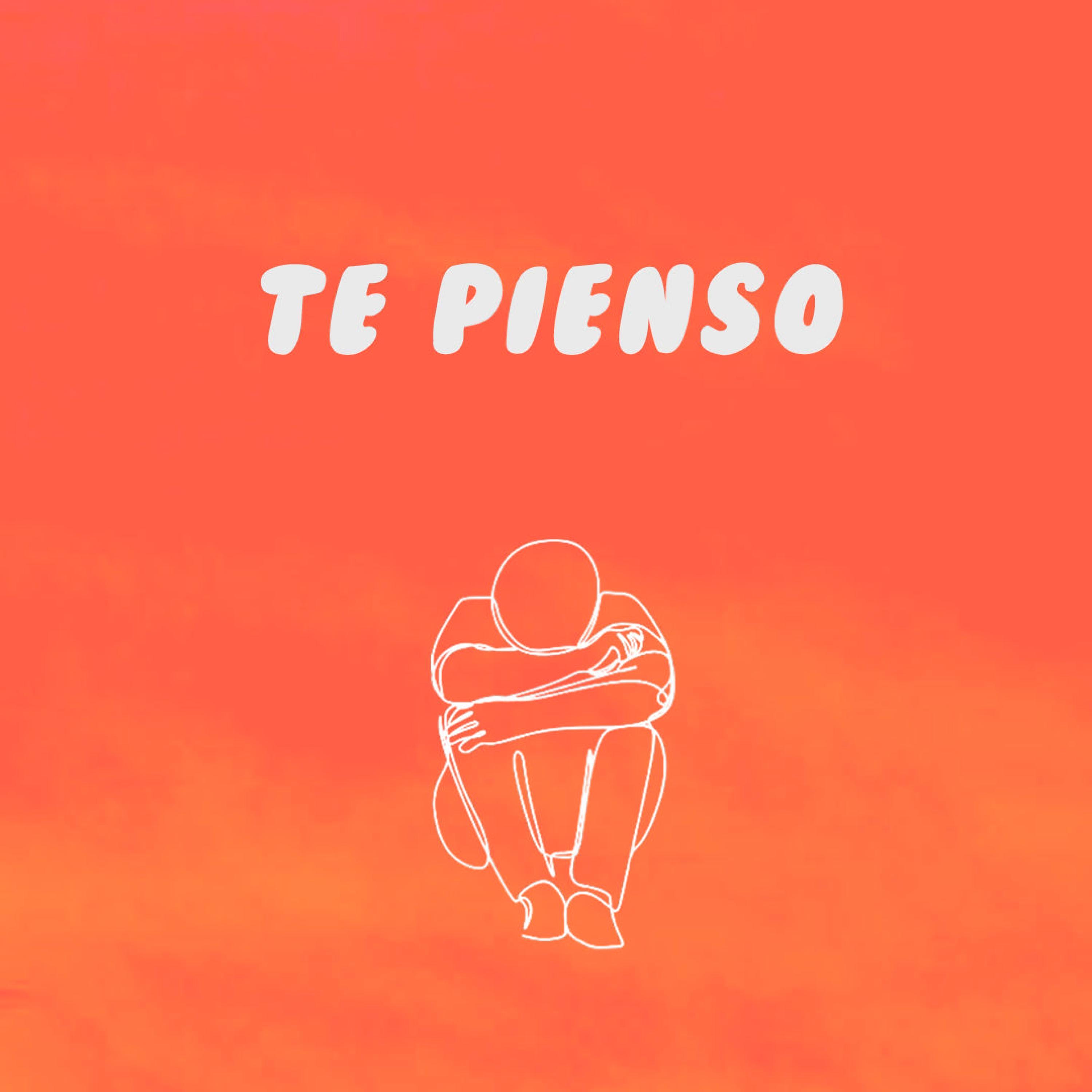 TE PIENSO