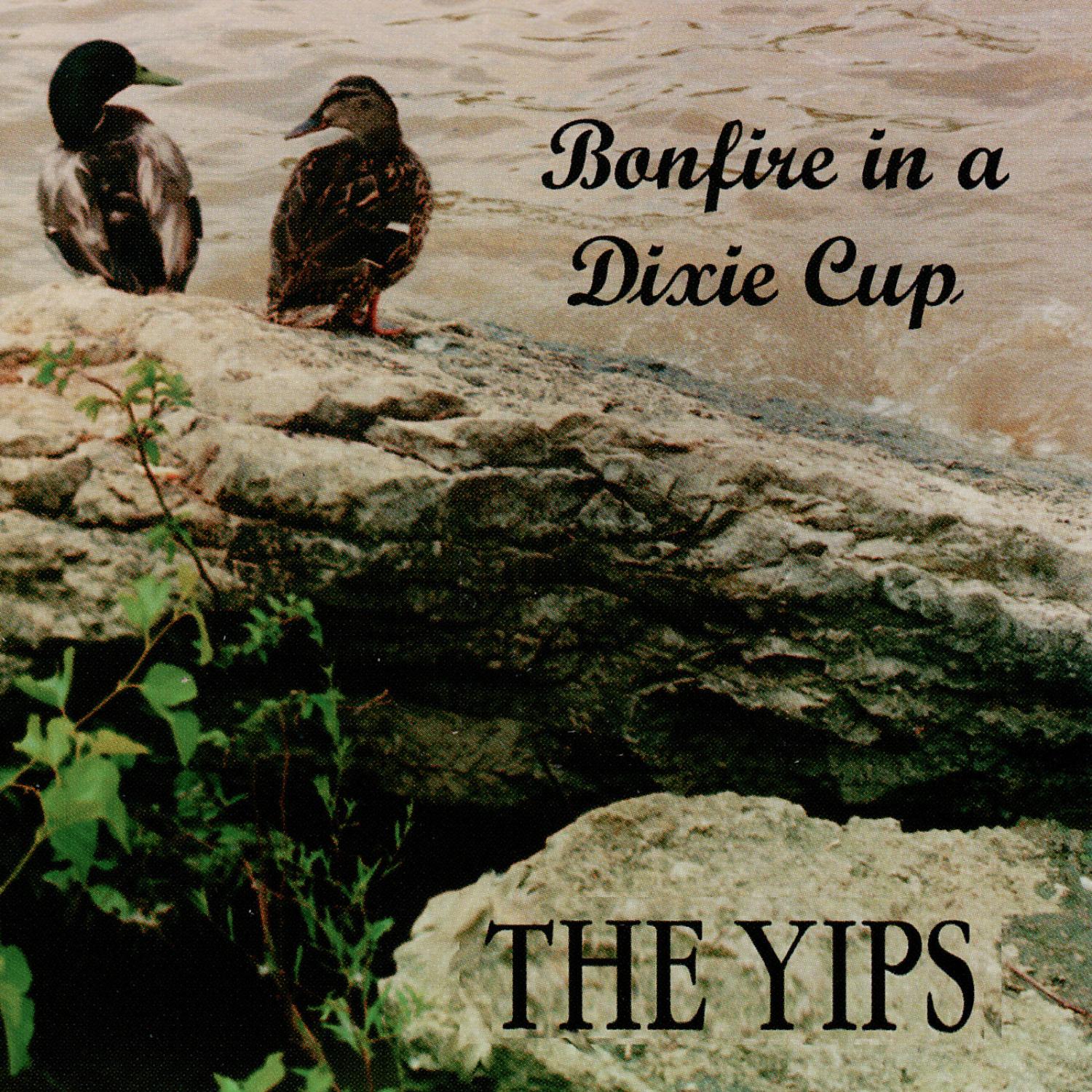 WildJeannieDinnerRoll