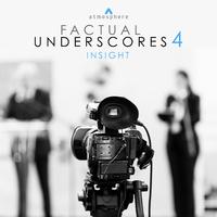 Factual Underscores 4: Insight