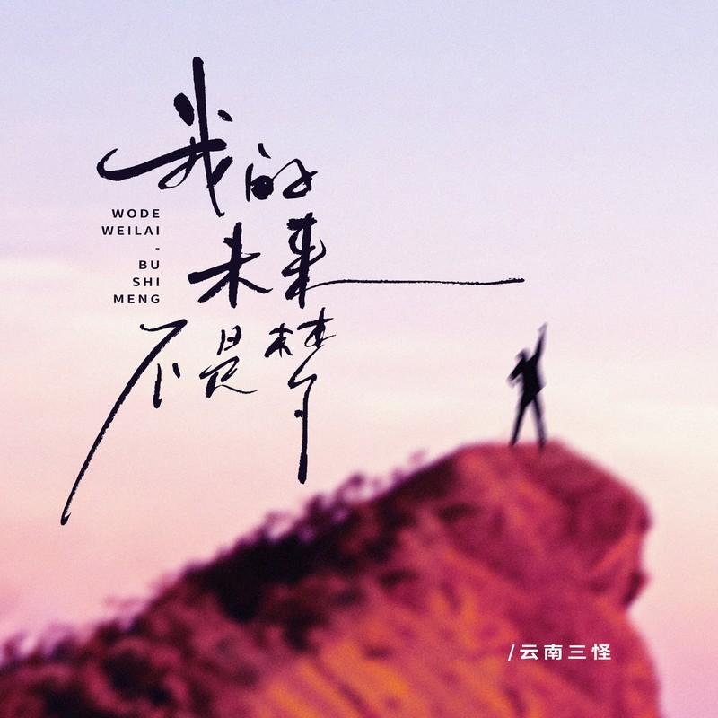 我的未来不是梦 (追梦版伴奏) - 云南三怪封面