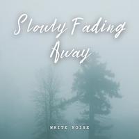 White Noise: Slowly Fading Away