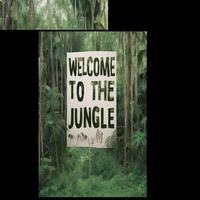 Welcome to the Jungle