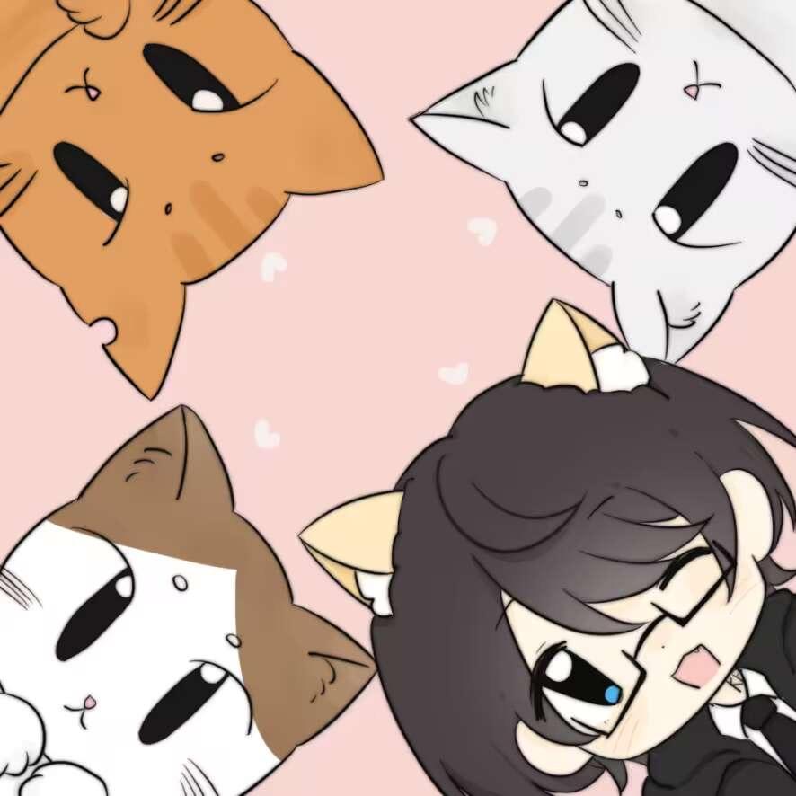 猫猫观察日志【2024KB呆又呆生贺曲】