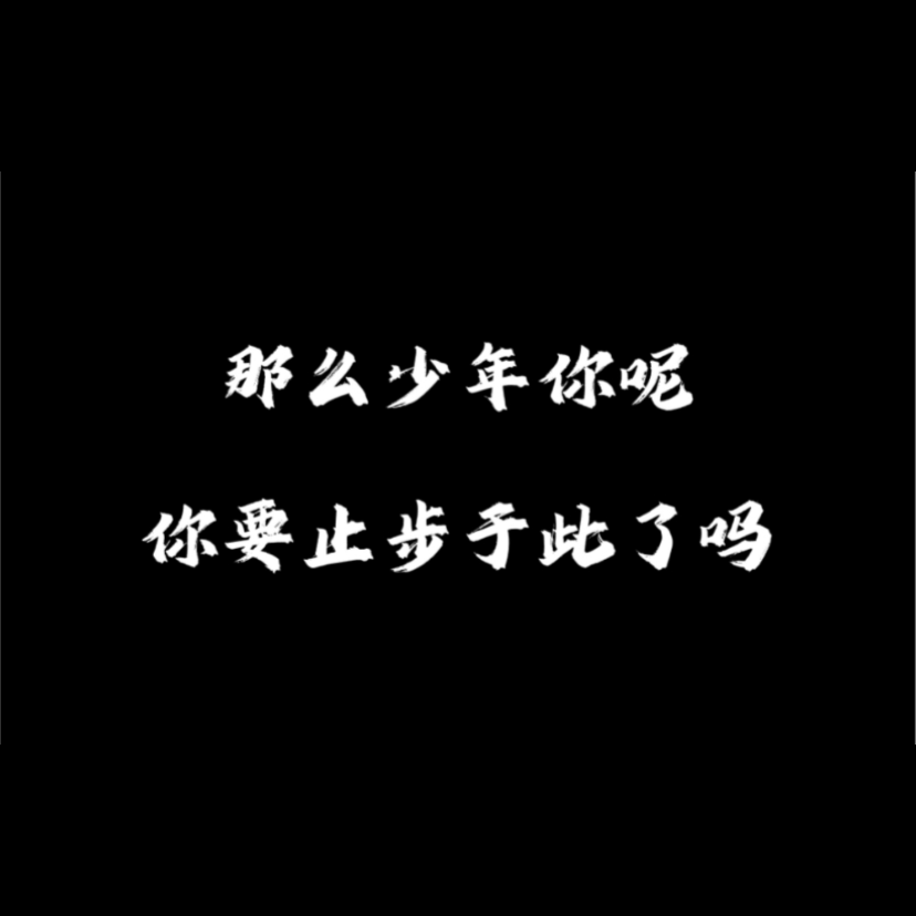 谈恋爱前不如先养猫封面