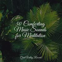 50 Comforting Music Sounds for Meditation