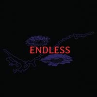 Endless