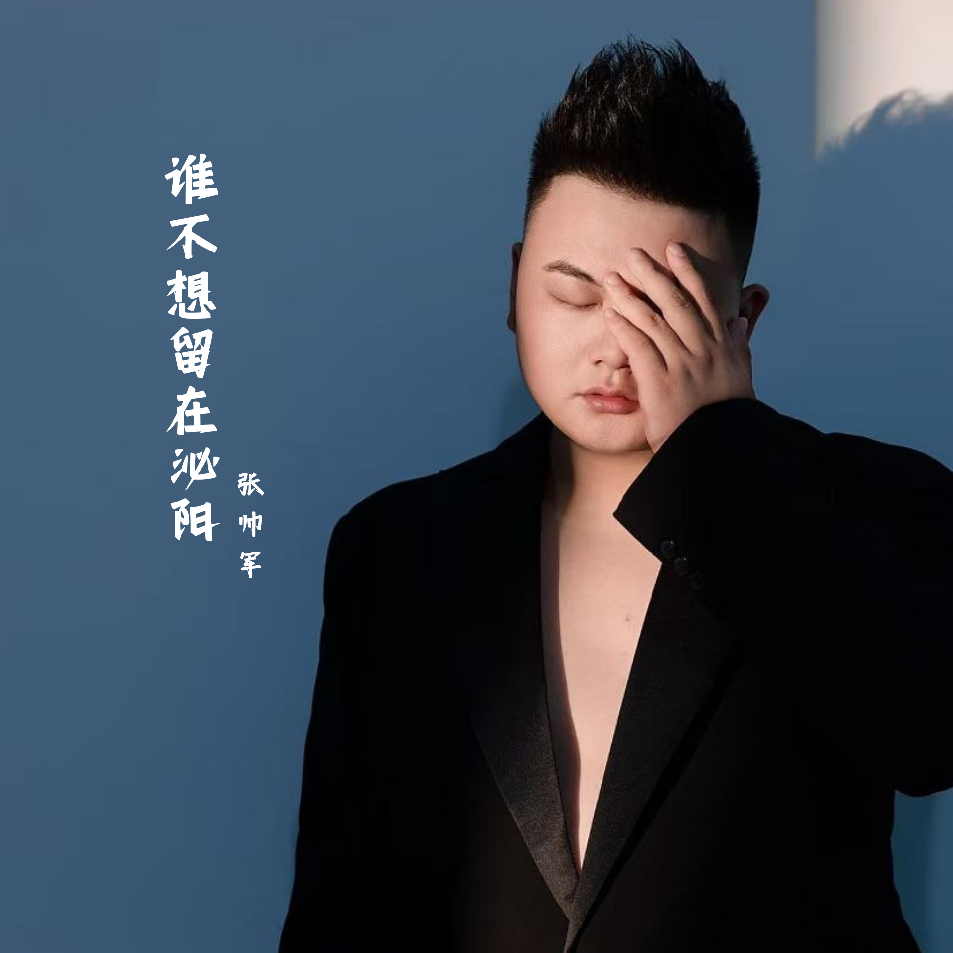 谁不想留在泌阳封面