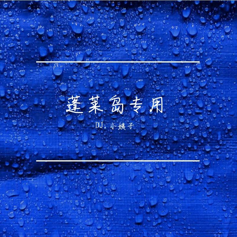 DJ.小姨子-黄梅戏（瑶格格|DJ.小姨子 remix） - DJ.小姨子封面