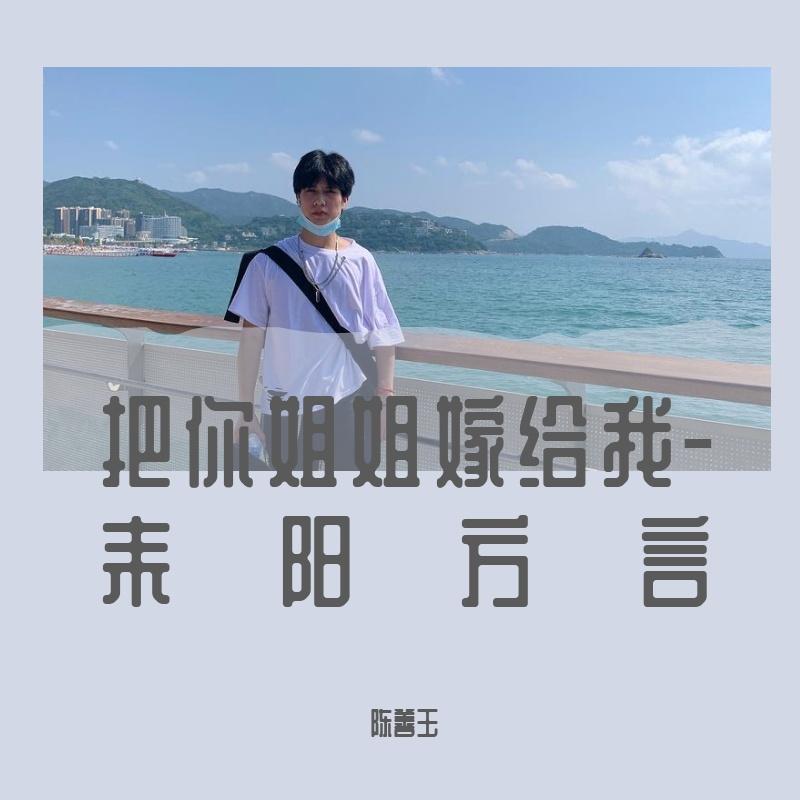 把你姐姐嫁给我(安仁版) - 陈善玉封面