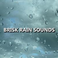 Rain Sounds - Rich Nature Rain Sounds