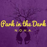 Park in the Dark