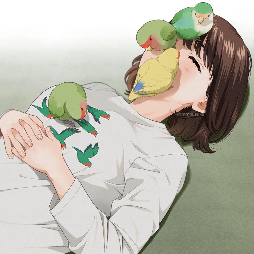 青梅煮酒 伴奏封面