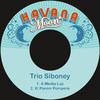 Trio Siboney - A Media Luz