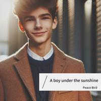 A boy under the sunshine_Peace Bird