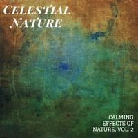 Celestial Nature - Calming Effects of Nature, Vol. 2