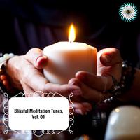 Blissful Meditation Tunes, Vol. 01