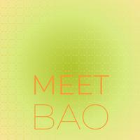 Meet Bao