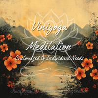 Viniyoga Meditation - Customized to Individual Needs